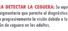 investigacion-005