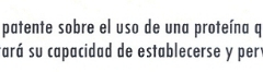 Ángel María Carracedo Alvarez 006