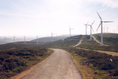 molinos-002