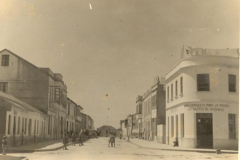 Avenida Alfonso Molina 