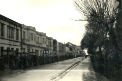 Avenida Alfonso Molina