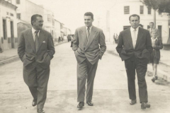 Avenida Alfonso Molina