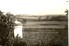 Pombal e rúa Xosé Ferrer