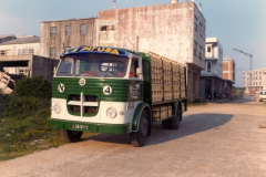 017-camb3n-landeira