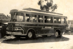 024-autos-amarelle